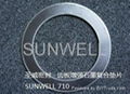 Pure Graphite gasket 2