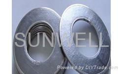 Pure Graphite gasket 4