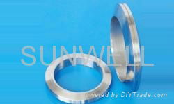 Ring Joint Gasket 5
