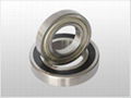 Ball Bearing 16series-55