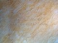 墙艺漆——厚浆型质感涂料