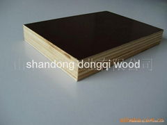 plywood