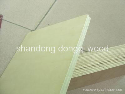 commercial plywood 2