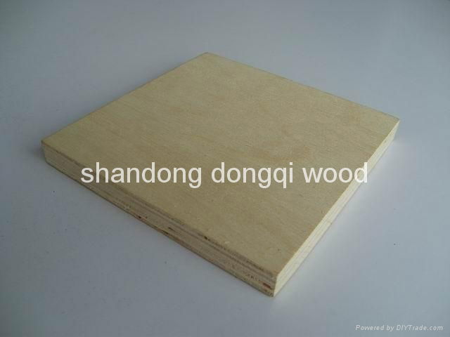 commercial plywood 5