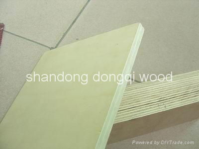 shuttering plywood 5