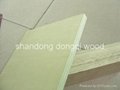 shuttering plywood 5