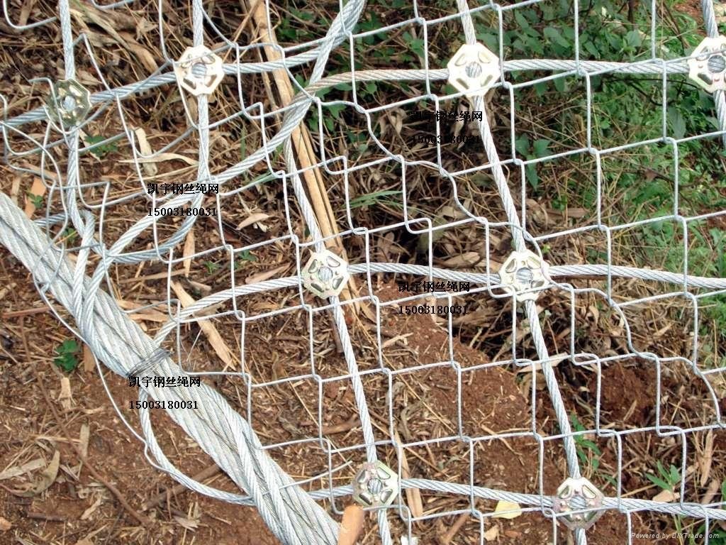 不鏽鋼絲繩扣網 4