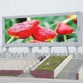 LED display ph16mm outdoor sport full color led display 4