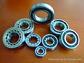 all types of bearings