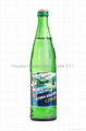 Mineral carbonated water "Polyana