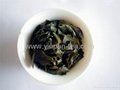 Traditional aroma Ti Kuan Yin 3