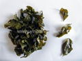 Mild aroma  Ti Kuan Yin 4