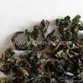 oolong tea 1