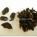 oolong tea 4