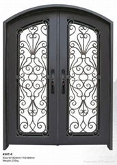 Wrought iron entry door