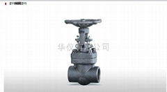 Forged Steel Gate Valve