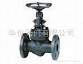Forged stop valve  1