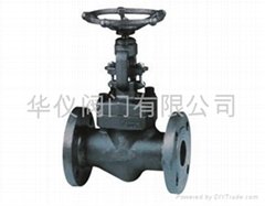 Forged stop valve 