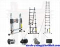 Aluminum Magic telescopic ladder patent parotected Ce-en131 Certificate YD2-1-2A 1