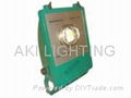 LED Flood Light 1