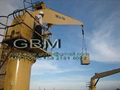 Cylinder-luffing Cargo Crane