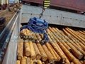 Electro-Hydraulic Timber Grab  2