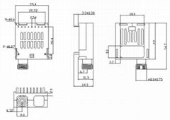 1×9  MM Receiver module