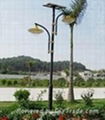 solar garden light 1