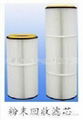 Powder recovering filter canister 2