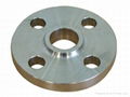 Stainless steel butt welding flanges,