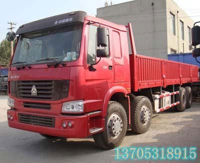 SINOTRUK HOWO 8X4 Cargo Truck 2