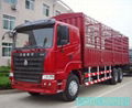 SINOTRUK HOWO 6X4 Cargo Truck 2