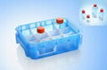 Cell Culture Bottle 1