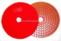 diamond polishing disc