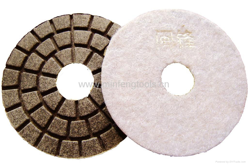 diamond polishing disc 5