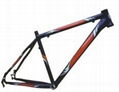 bicycle frame