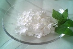 Silk protein extract powder