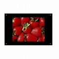 15 inches Network Digital Signage LCD Advertising Player