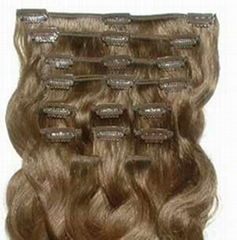 Clips in hair extension