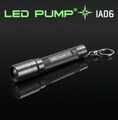 0.5W Nichia LED keychain torch/flashlight with 1 AAA batteries