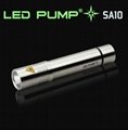 80 lumens CREE LED stainless steel torch