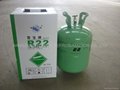 REFRIGERANT GAS R22
