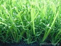 Artificial grass 1