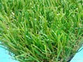 Artificial Lawn 1