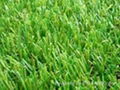 Artificial grass for garden use 1