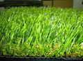 Spring-like artificial lawn, artificial