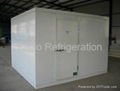 coldroom ( freezer , chiller) 2