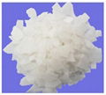 Caustic soda flakes/prills