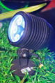 LED landscape light 1