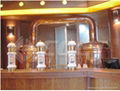 hotel use beer brewing equipment  2